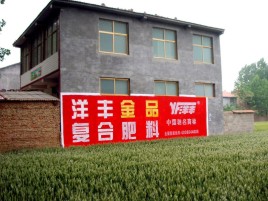 伊川县如何让墙体广告展现最大化效果