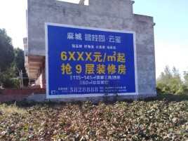 伊川县品牌公司青睐的墙体广告