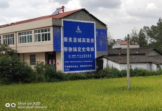 伊川县决定墙体广告价格的因素有哪些?