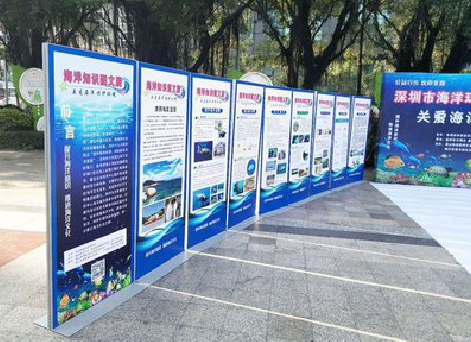 伊川县KT板的种类和知识。